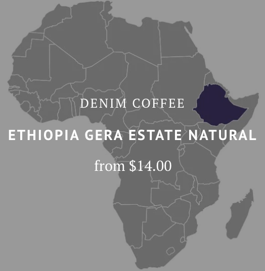 Ethiopia Gera Estate Natural